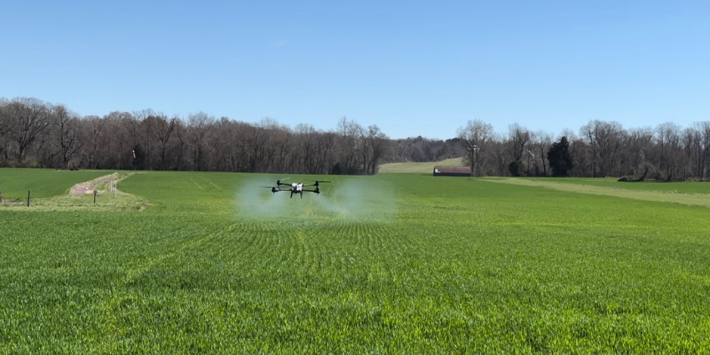 An agricultural drone spraying low on a crop field