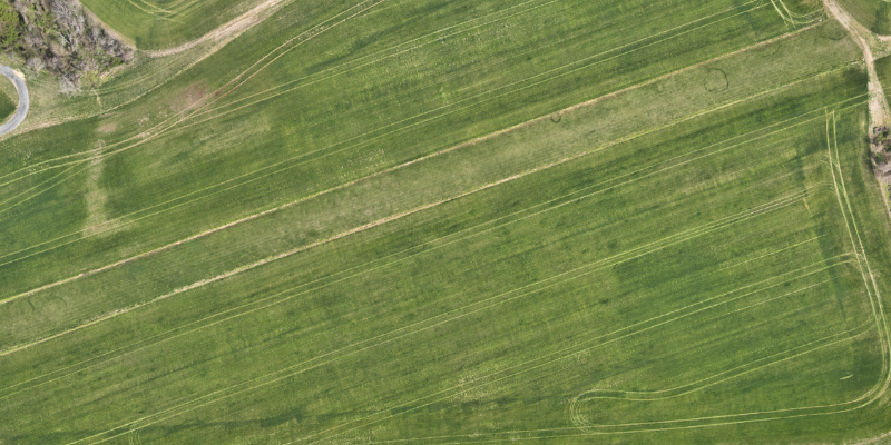 Drone Footage of a Field